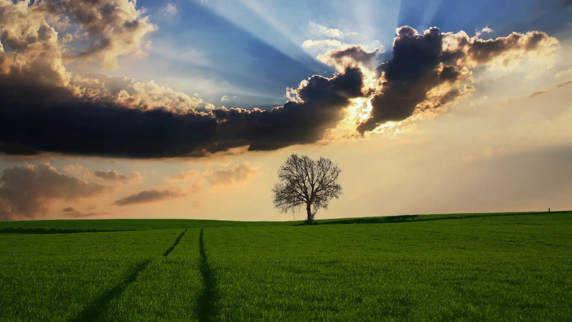 【swift】通用获取当前系统的语言